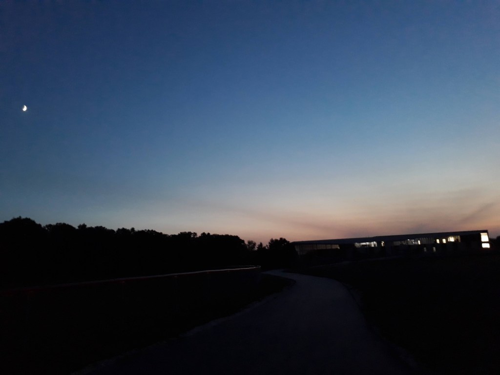 Top Middle Grade Reads of&nbsp;2020