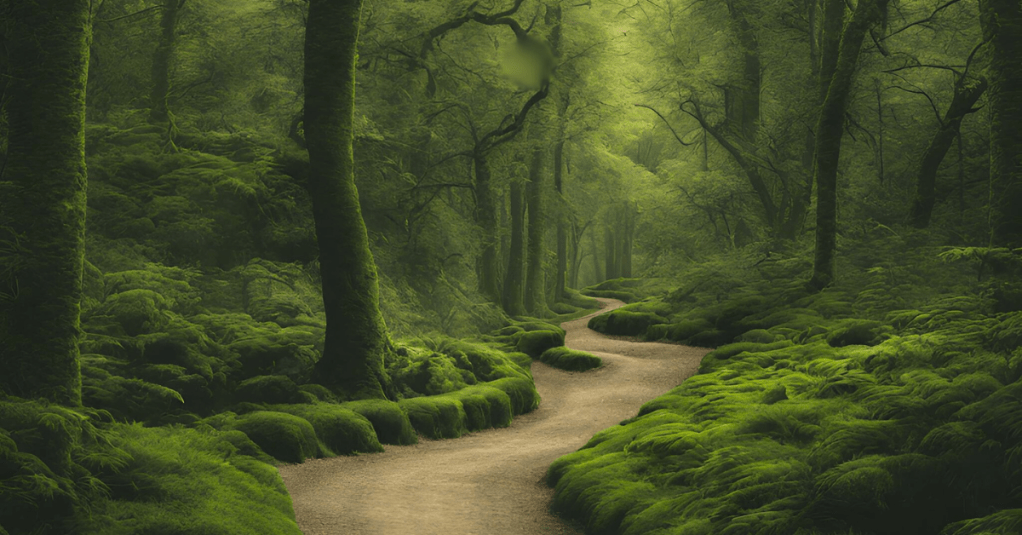 Reflections: Reading Life&nbsp;Adjustments