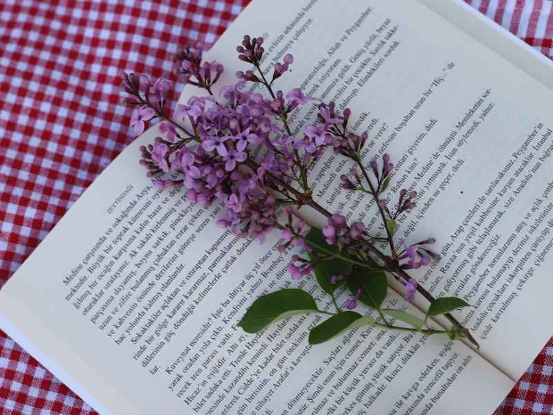 Recent Reads: February&nbsp;2026