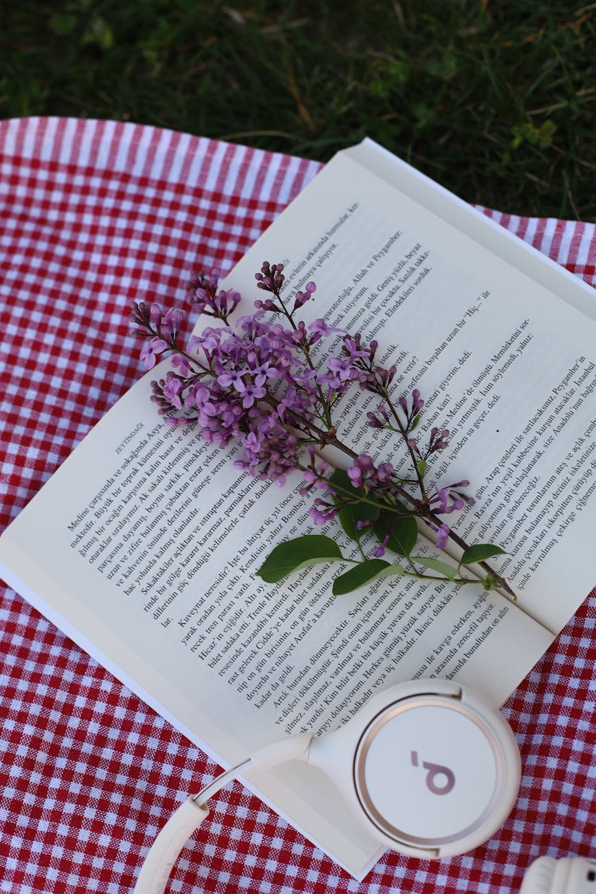 Recent Reads: February&nbsp;2026