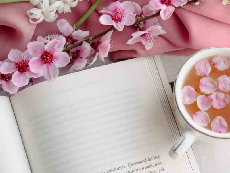 Recent Reads: March&nbsp;2026